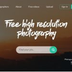 search for free images